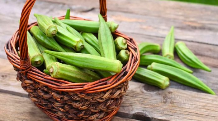 Okra ঢ্যাঁড়শ