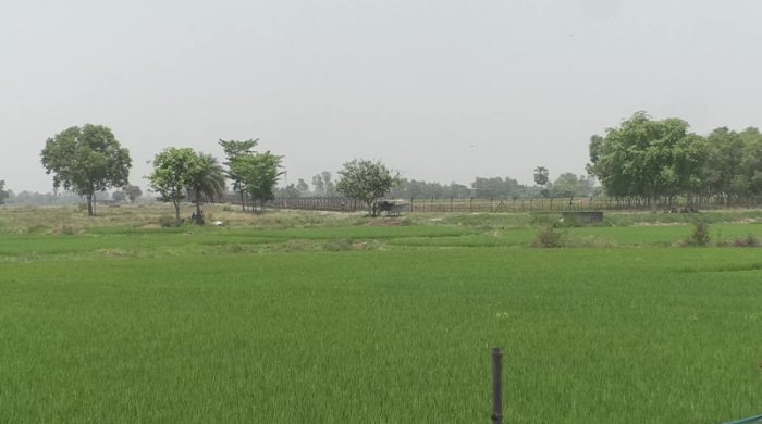 নওগাঁ সীমান্ত
